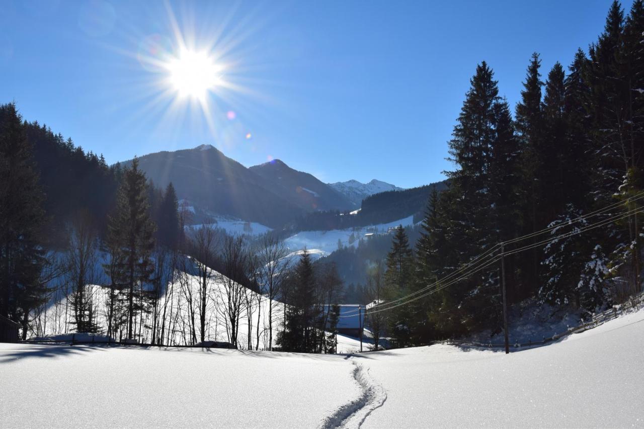 Apartment Obergruberhof Schladming Dış mekan fotoğraf