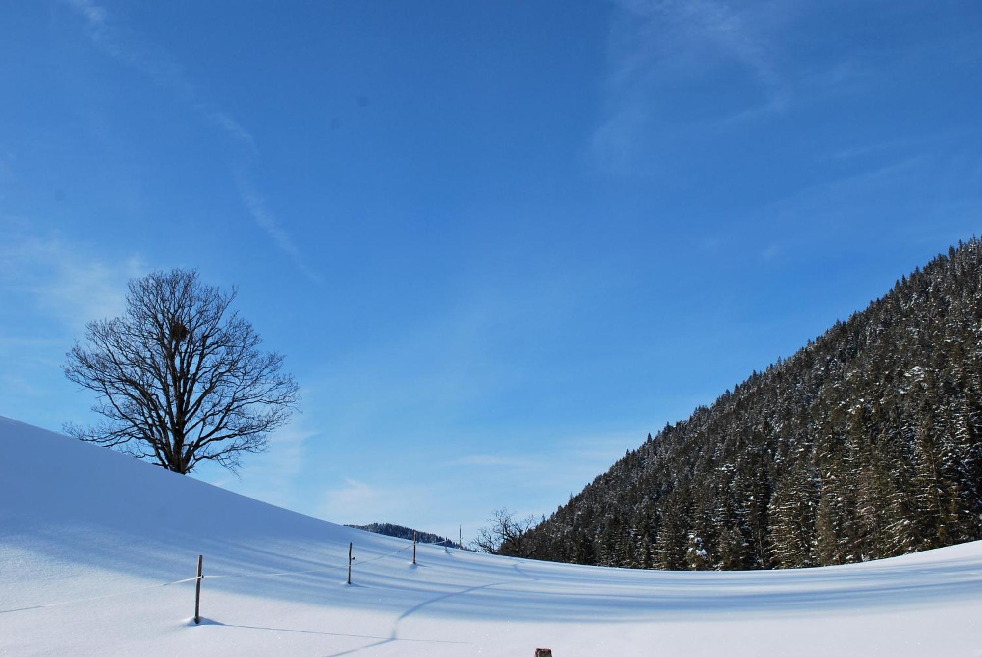 Apartment Obergruberhof Schladming Dış mekan fotoğraf