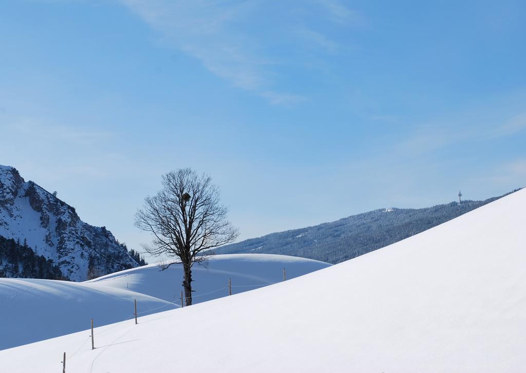 Apartment Obergruberhof Schladming Dış mekan fotoğraf